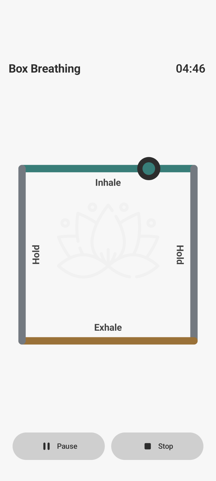 Box Breathing with visual rhythm guidance